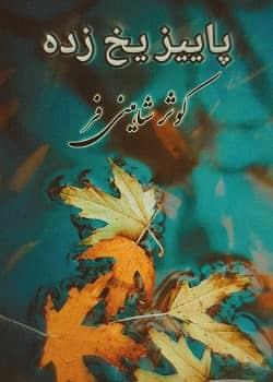 رمان پاییز یخ زده به قلم کوثر شاهینی فر PDF